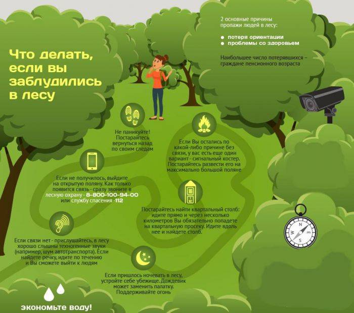 8 советов родителям о том, как предотвратить пропажу ребёнка в лесу