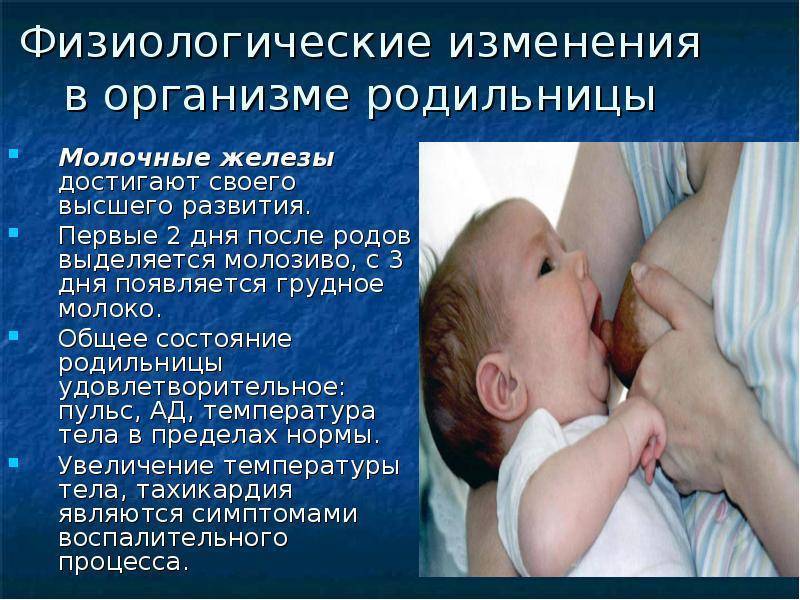 Молоко после родов: на какой день появляется, как прибывает, что делать чтобы пришло первое молоко / mama66.ru