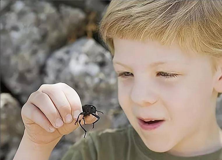 Как быть, если ребенок стал бояться насекомых?
