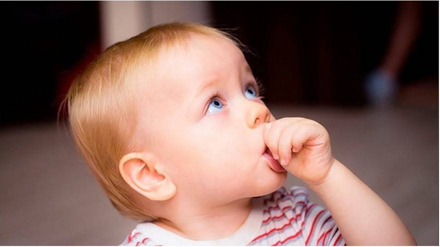 Ребенок часто просит грудь: как понять, что ребенку не хватает молока? | nutrilak
