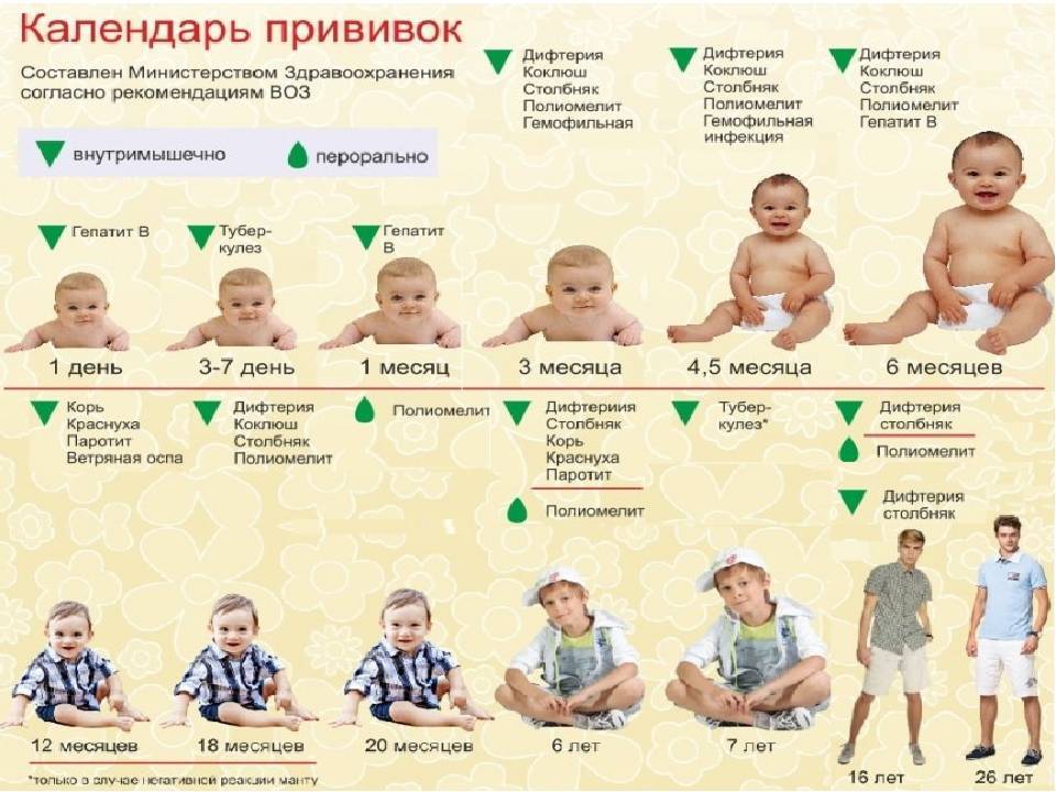 Календарь прививок детей россии до 1 года, до 3 и до 14 лет: таблица