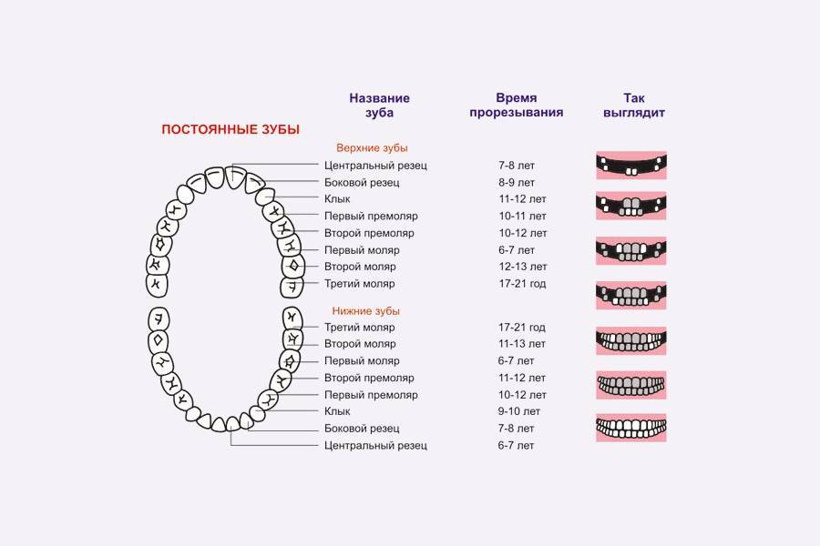 Температура при прорезывании зубов у детей: сколько держится и чем сбить / mama66.ru