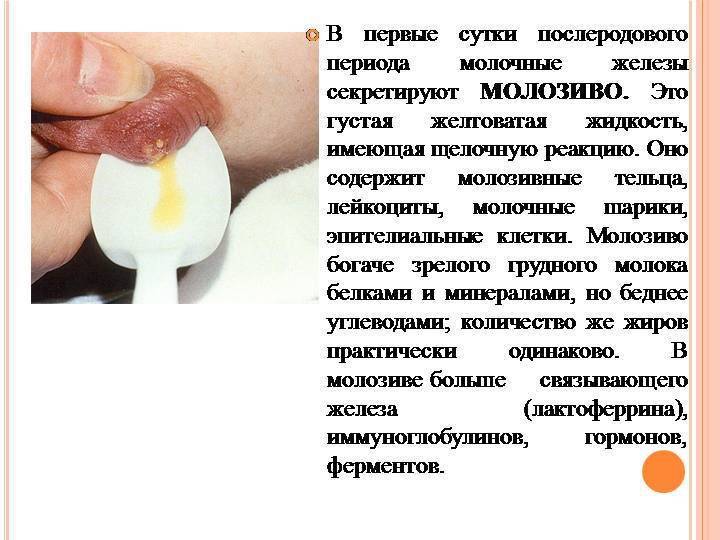 Выделение молозива во время беременности: норма и патология - беременность