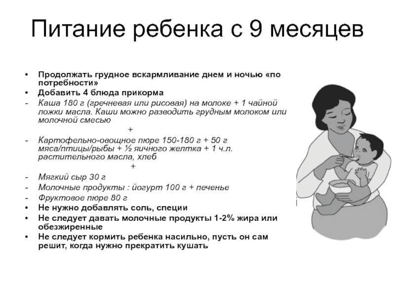 Рекомендации мамам по режиму дня новорожденного