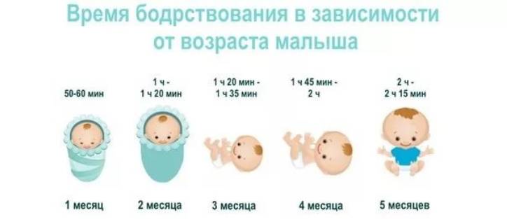 Таблица развития ребенка по месяцам до года