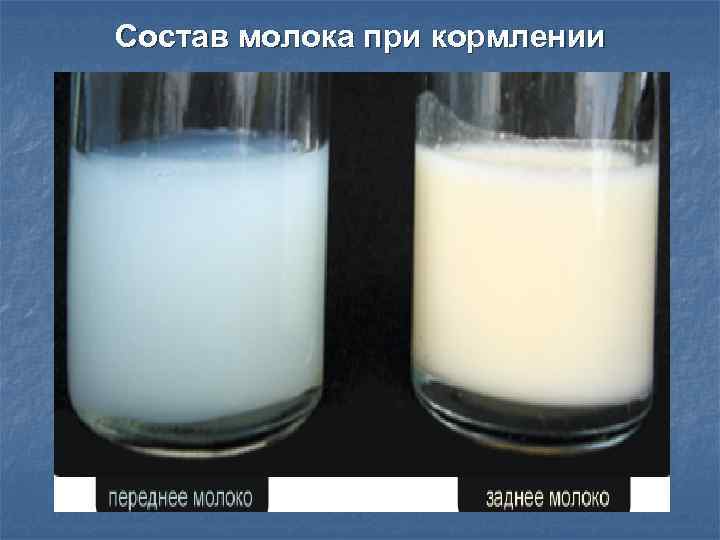 Переднее и заднее грудное молоко: что это значит