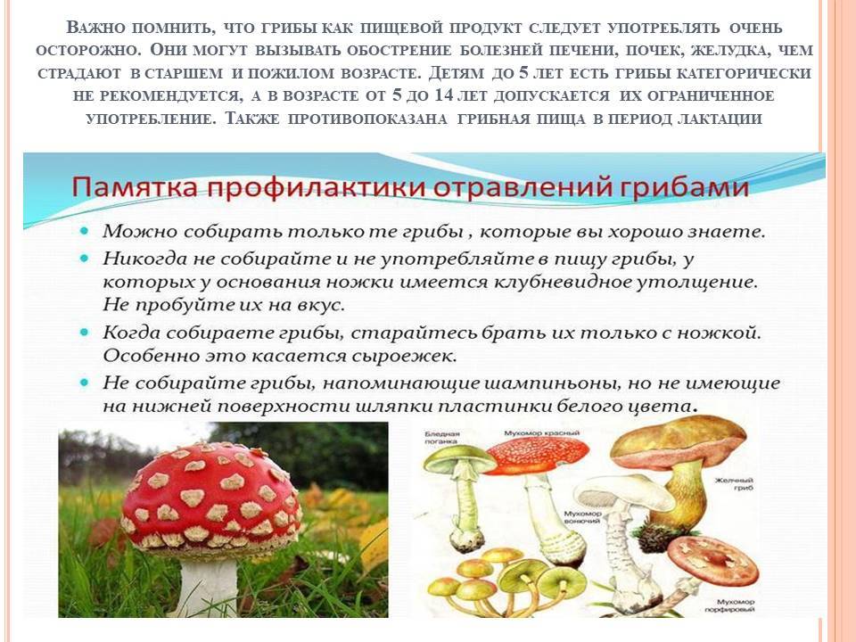 Можно ли детям грибы: важная информация для здоровья
