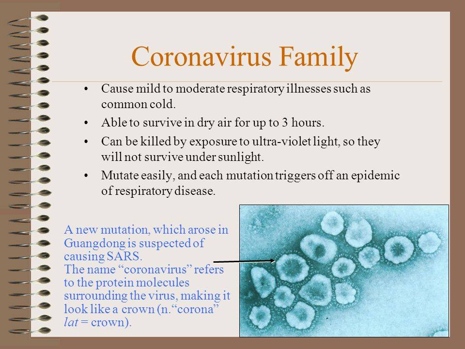 Что нужно знать молодым мамам о вакцинации против covid-19