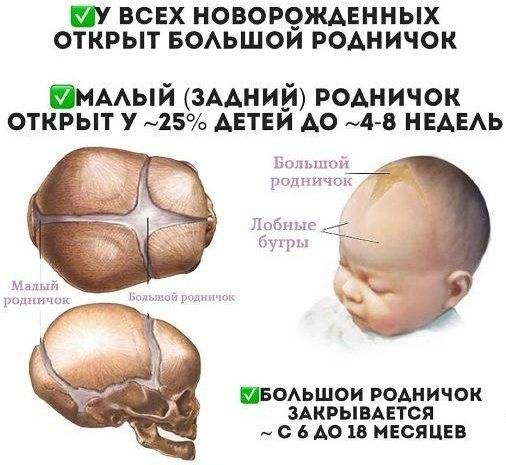 Сколько костей в теле человека? - hi-news.ru