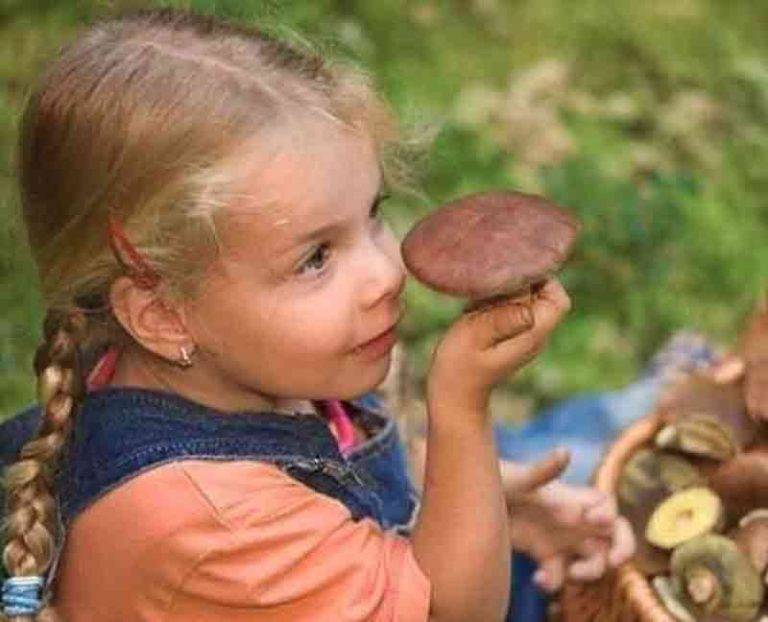 Можно ли детям грибы: какие и с какого возраста?