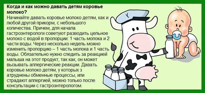 Коровье молоко для грудничка: с какого возраста разрешено