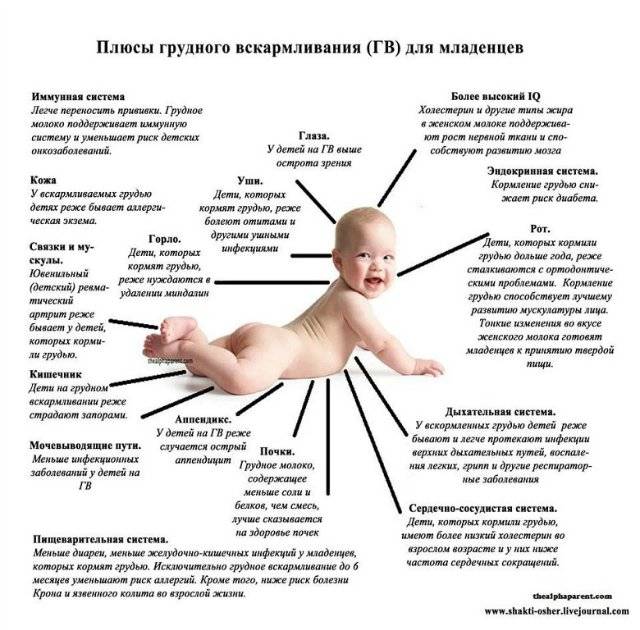 Правила и способы выкладывания новорожденного на живот