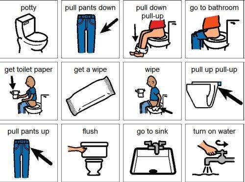 Как правильно вытирать попу бумагой. как и когда учить ребенка самостоятельно вытирать попу после посещения туалета: нехитрые подсказки родителям