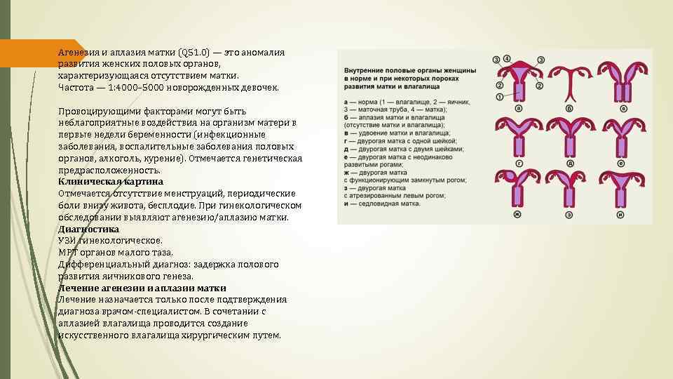 Пороки развития легких - признаки, причины, симптомы, лечение и профилактика - idoctor.kz