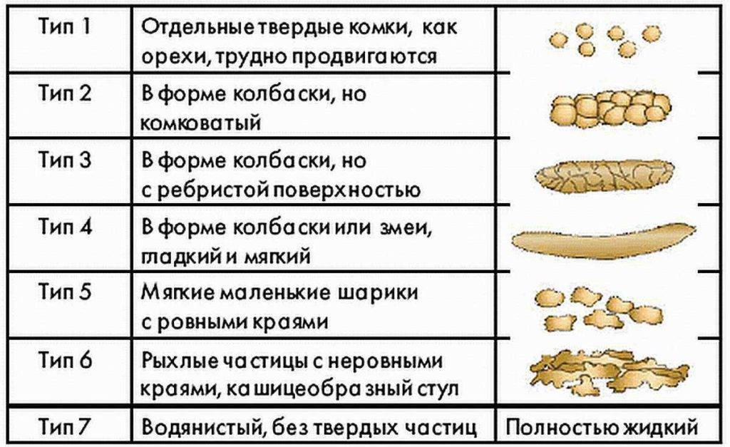 Стул после введения прикорма овощного пюре