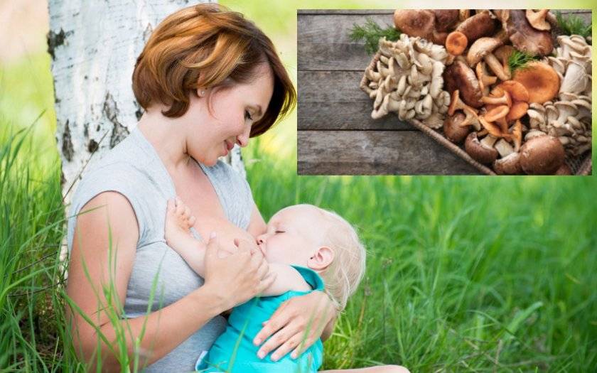 Грибы при грудном вскармливании: можно ли маме в первые 3 месяца (жареные, лесные, с картошкой)