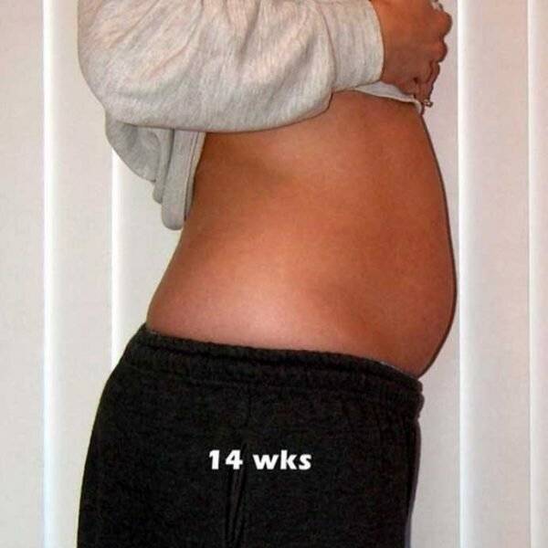 14 неделя беременности – живот, развитие плода, что происходит с малышом, сколько месяцев, ощущения