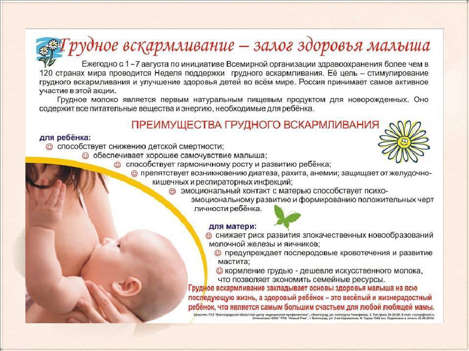 Как увеличить лактацию грудного молока в домашних условиях?