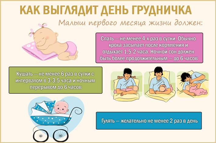 Будят ли для кормления новорожденных, если они долго спят днем или ночью