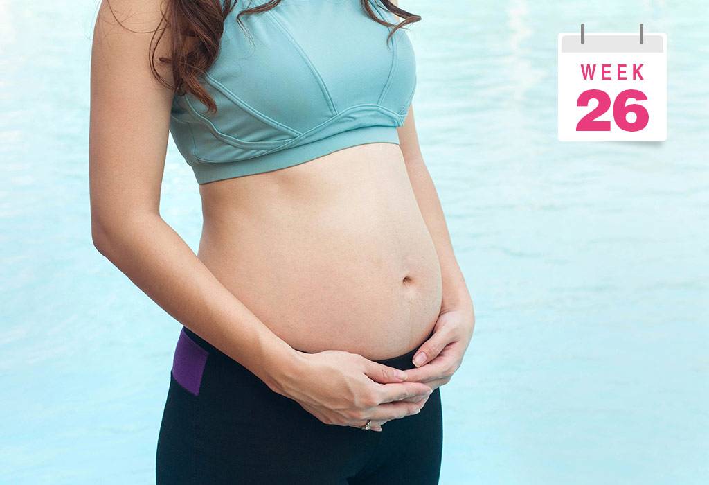 Календарь беременности. 26-я акушерская неделя