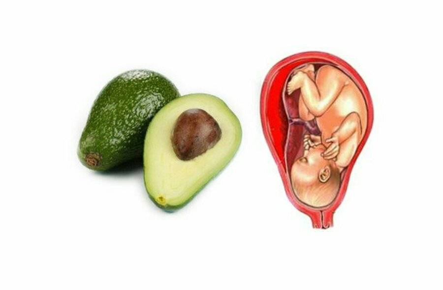 Авокадо при беременности: можно ли беременным есть? польза и вред на ранних и поздних сроках. свойства и противопоказания применения масла авокадо