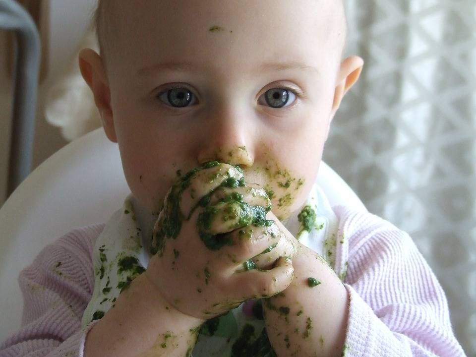 Ребенку 9 месяцев, на гв. категорически отказывается есть прикорм. что делать?