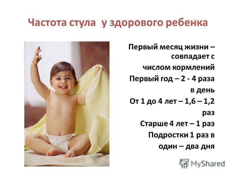 Сколько должны какать дети в 2 месяца: особенности работы кишечника у малышей