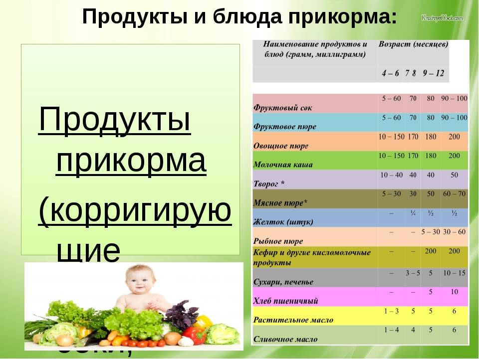 Последовательность введения овощей для первого прикорма