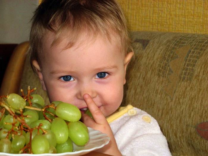 Фрукты и овощи для ребенка до 3 лет - статья сайта о детях imom.me