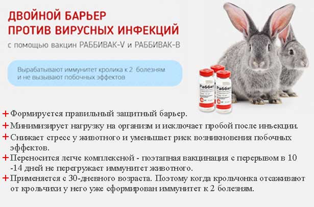 Введение белка в рацион грудничка: польза мяса кролика, рецепты его приготовления