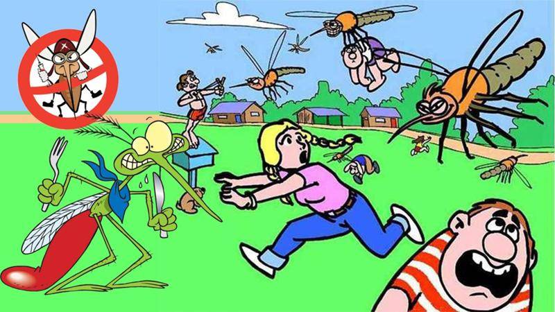 Ребенок боится насекомых до истерики. что делать? ребенок боится мух: как ему помочь