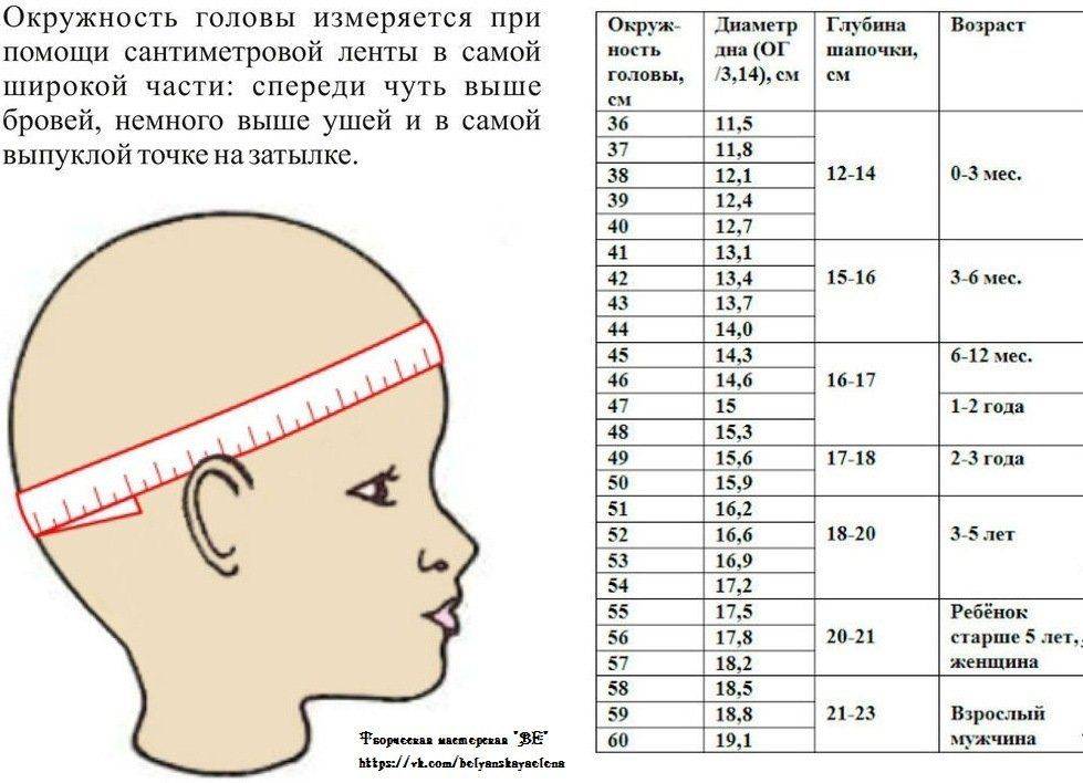 Окружность головы и грудной клетки ребенка: норма, таблица