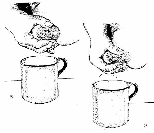 Техника и правила сцеживания грудного молока руками, особенности кормления