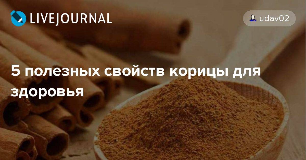Топ-11 пребиотиков для кишечника - рейтинг хороших средств 2020