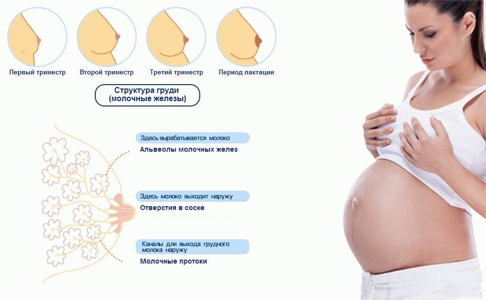 Молозиво при беременности: норма и патология