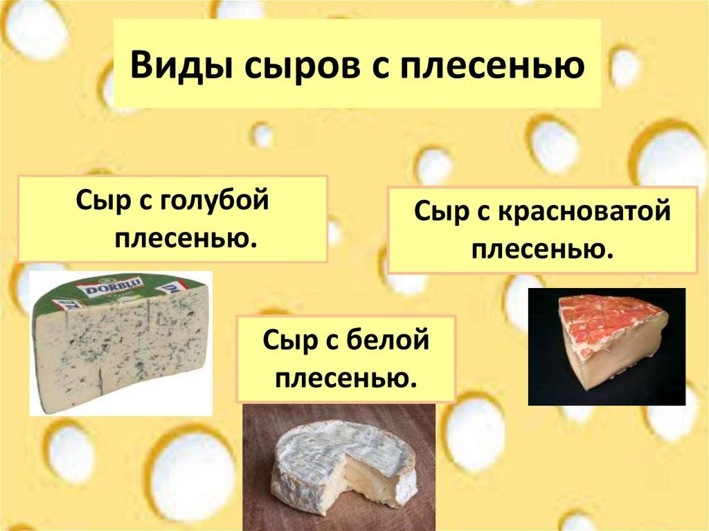 Чем отличается твердый. Виды сыров. Виды сыров названия. Виды сортов сыра. Твердые сорта сыра.