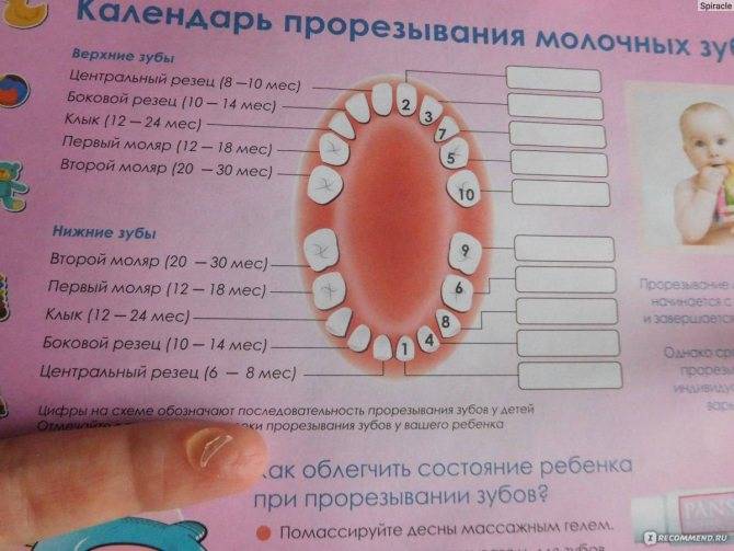 Температура на зубы у ребенка