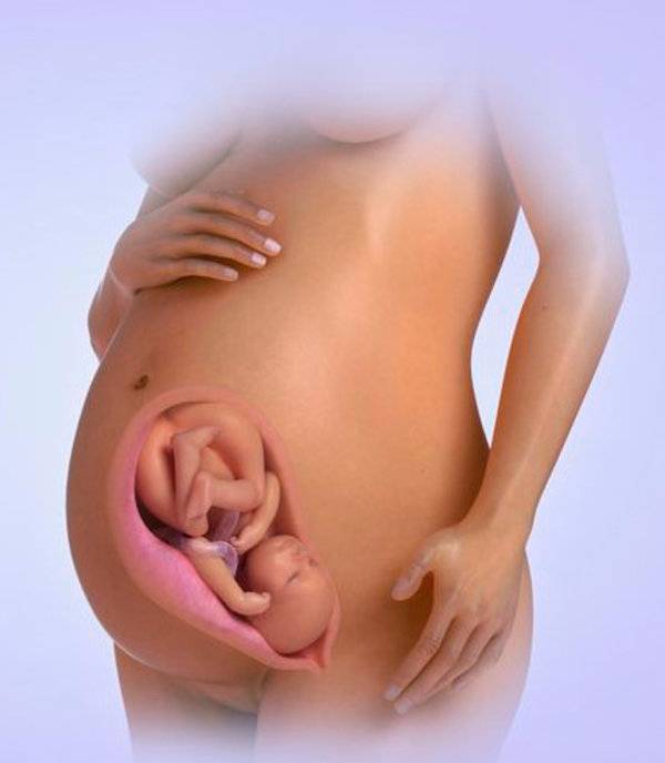 34 неделя беременности / календарь беременности