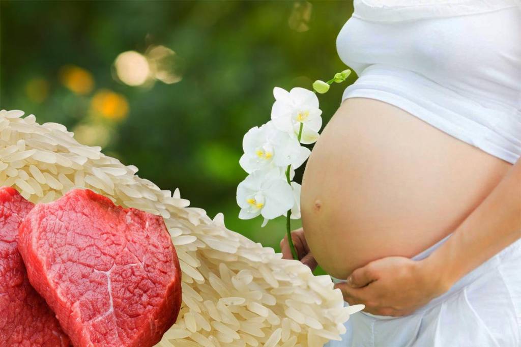Материнство и вегетарианство. поиск компромисса