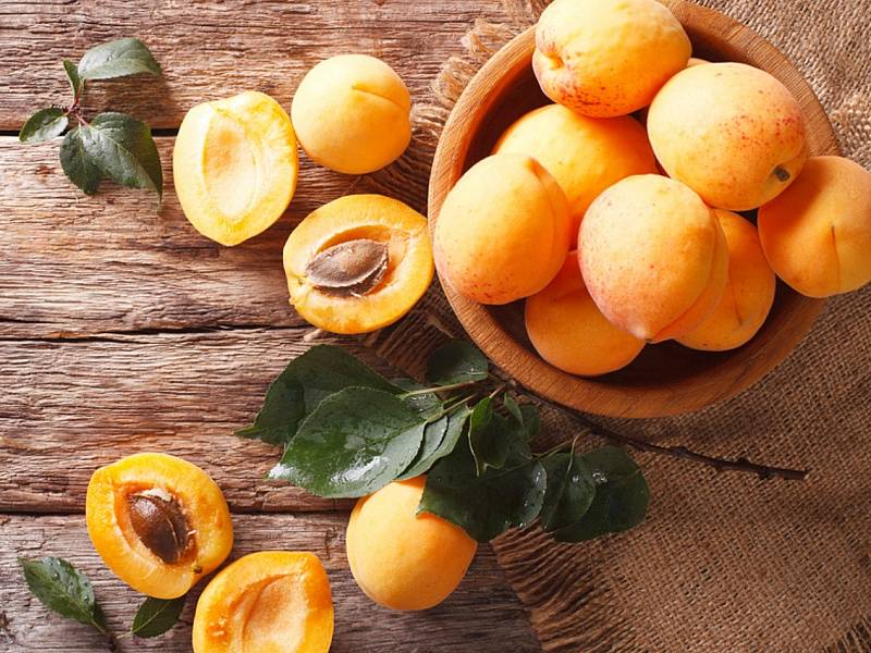 Особенности употребления абрикоса при грудном вскармливании
