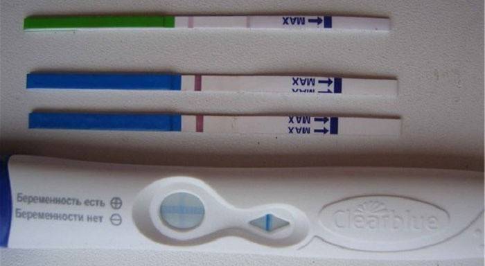 Менструация во время беременности - роддом "лелека"
