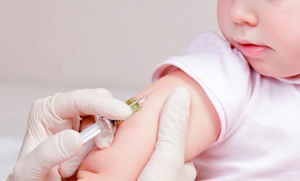 Прививка бцж у новорожденных: от чего, как протекает реакция - поликлиника №8