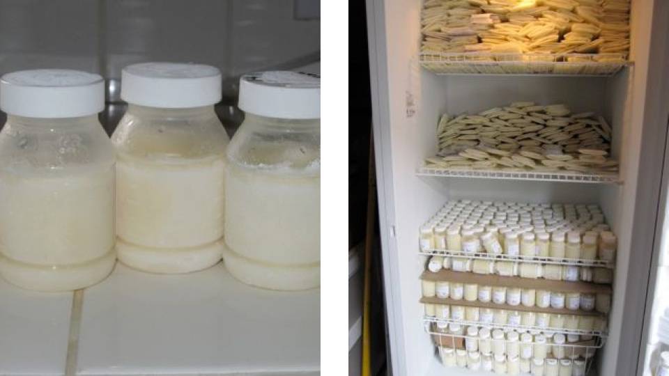 Как замораживать грудное молоко правильно и сколько хранить