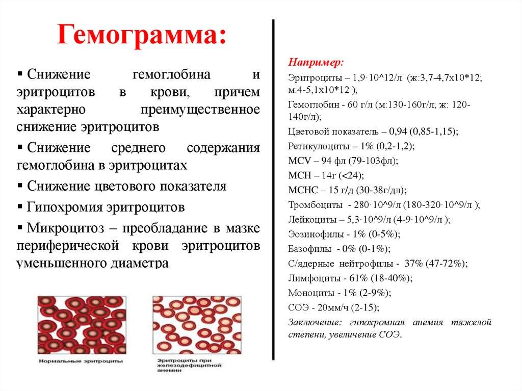Анализ крови расшифровка у взрослых норма в таблице
