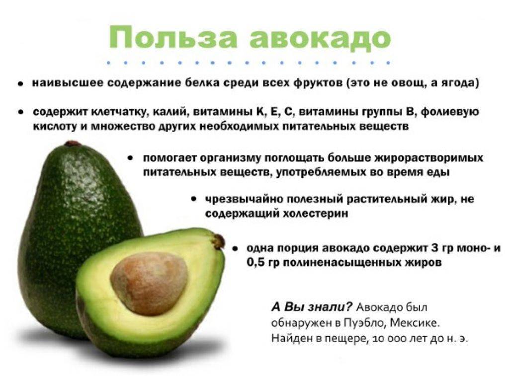 Можно ли есть авокадо при беременности. польза и вред авокадо во время беременности
