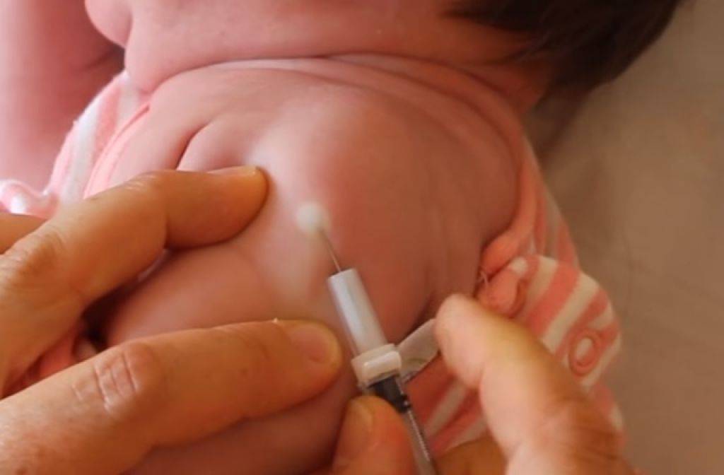 Прививка бцж новорожденным и старшим детям, реакции и осложнения после прививки бцж