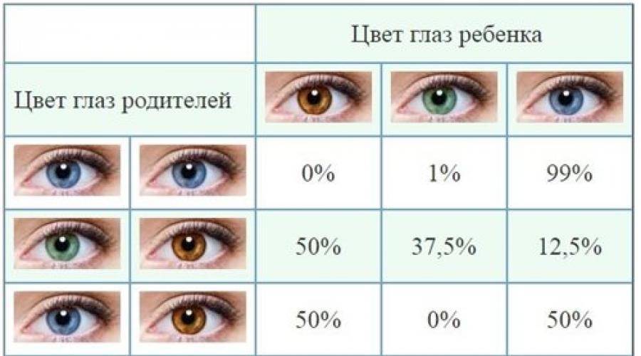 Какие глаза будут у ребенка — таблица вероятностей