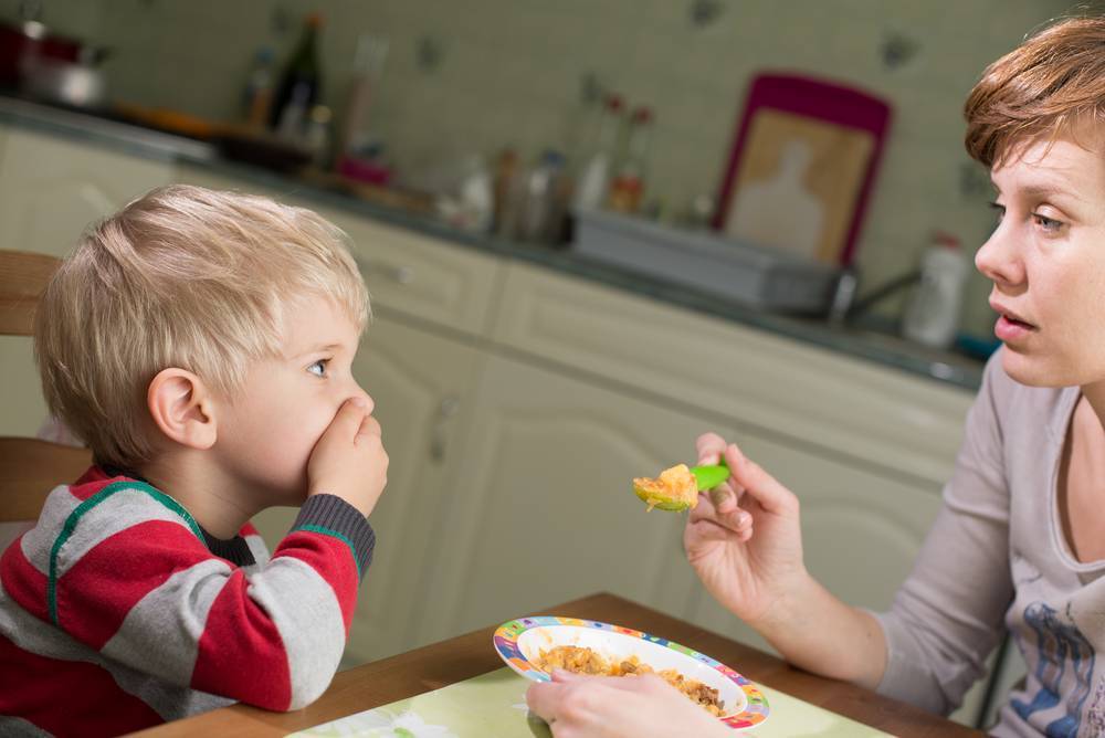Можно ли заставлять ребенка есть если он не хочет