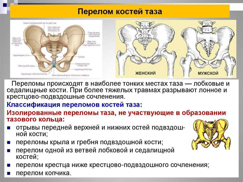 Мрт костей таза что показываетзаболевания, подготовка и расшифровка