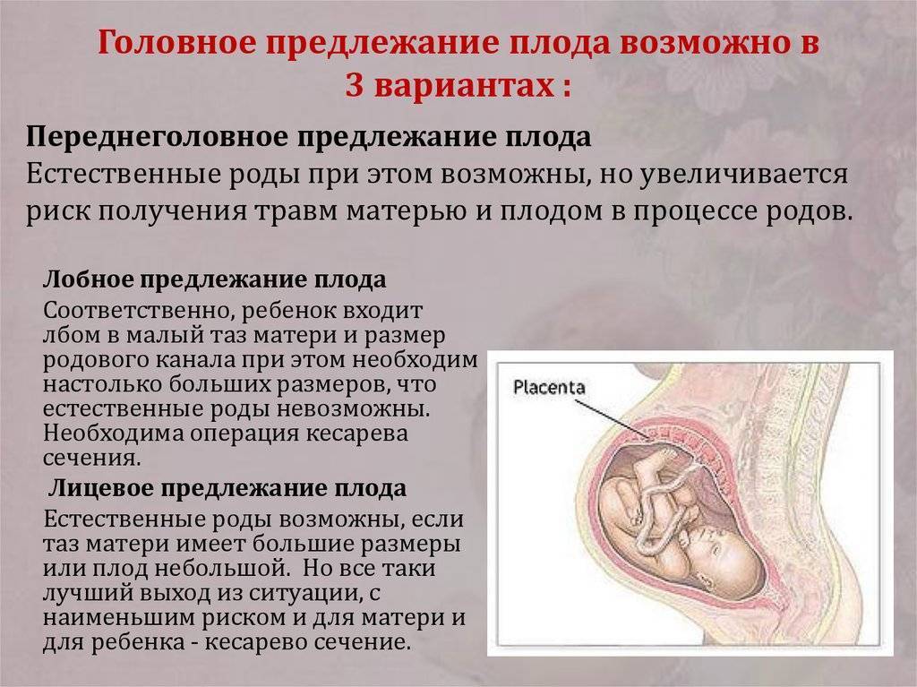 До какой недели беременности малыш может переворачиваться и когда малыш должен перевернуться перед родами stomatvrn.ru